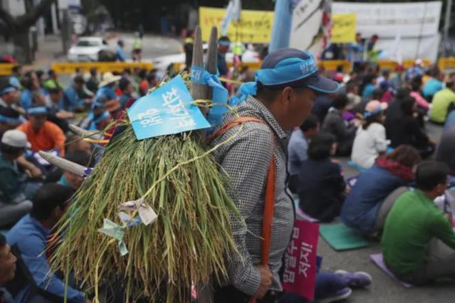 吃火锅3个人花费22万韩元都吃了啥麻将胡了游戏中国小伙韩国出差请顾客(图15)